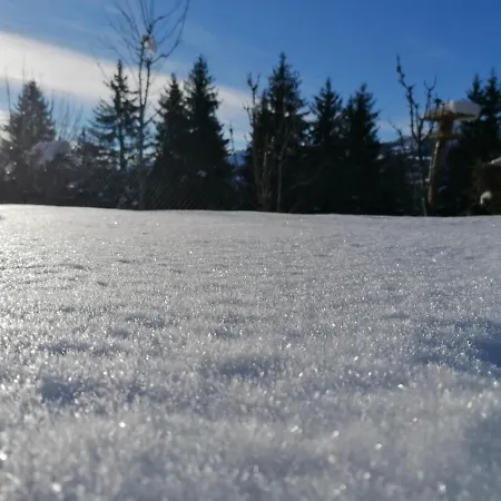 霍特度假公寓 * 齐勒河谷采尔
