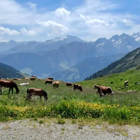 霍特度假公寓 *