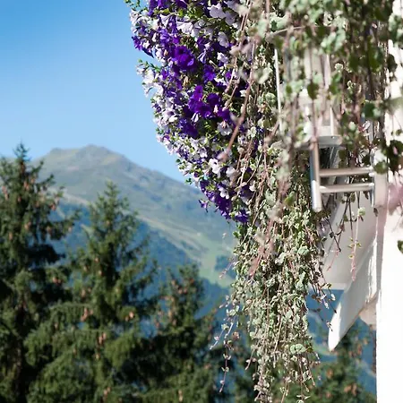 霍特度假公寓 齐勒河谷采尔